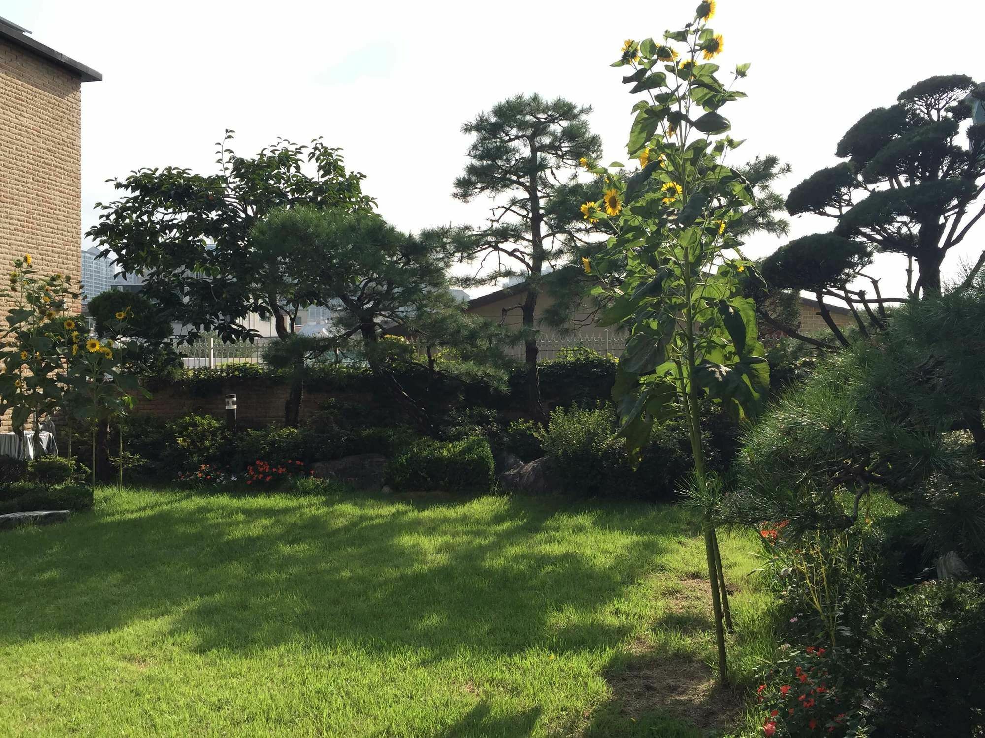 Puzzlestay House Seoul Luaran gambar