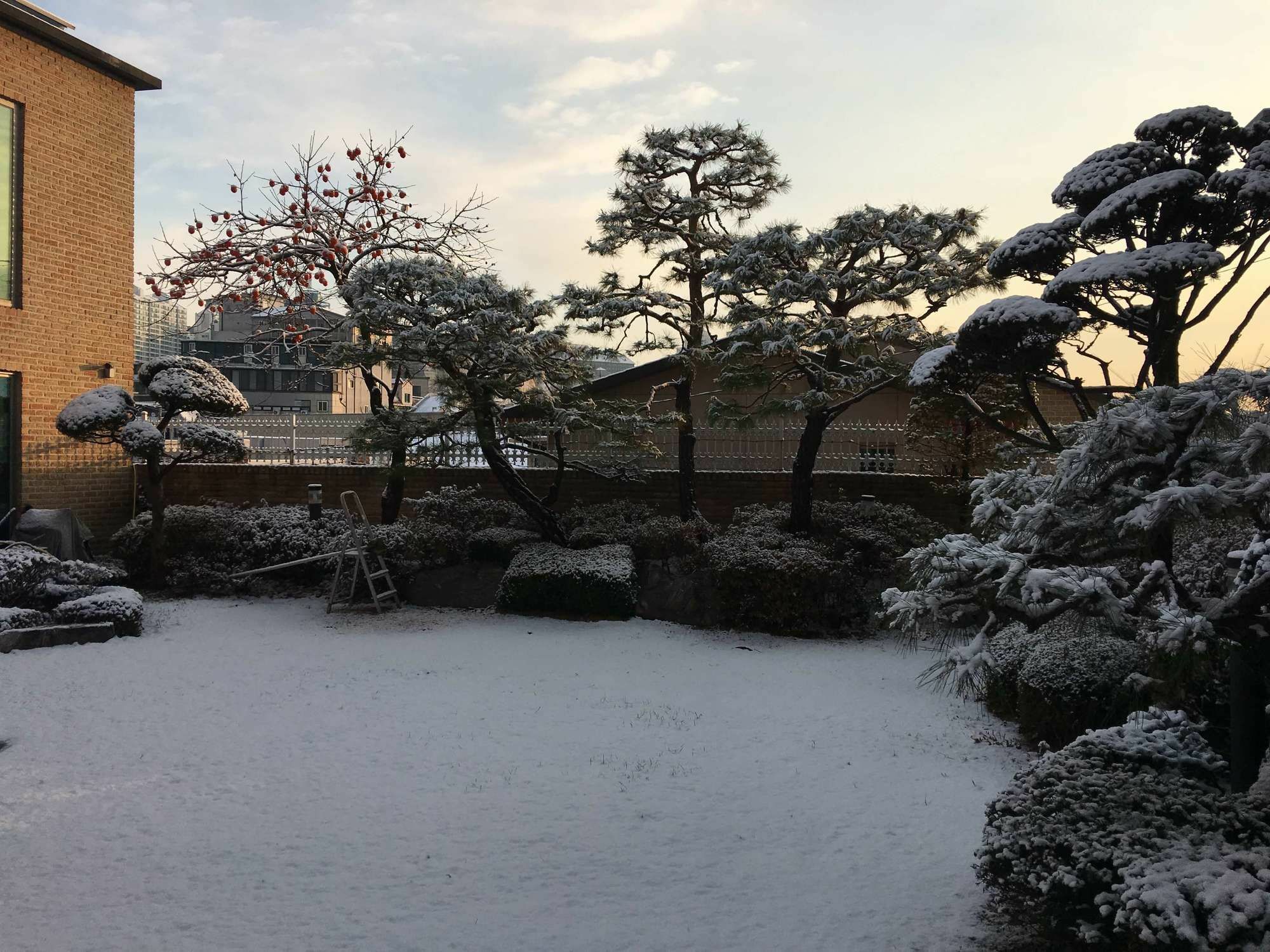 Puzzlestay House Seoul Luaran gambar